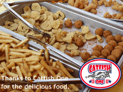 catfish-one