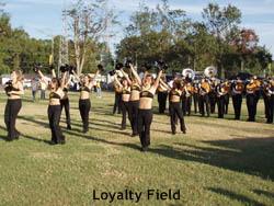 loyalty field